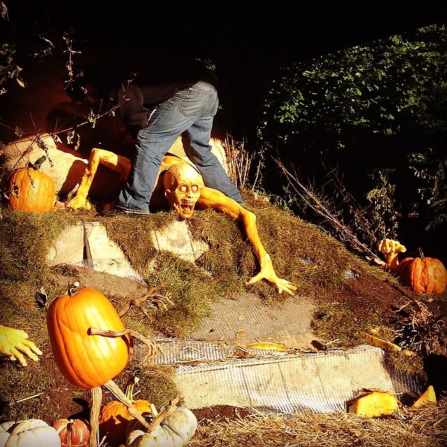 New York Botanical Garden Haunted Pumpkin Garden