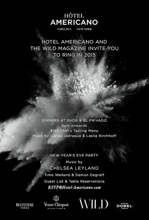 The Wild Magazine & Hotel Americano New Year's Eve Party