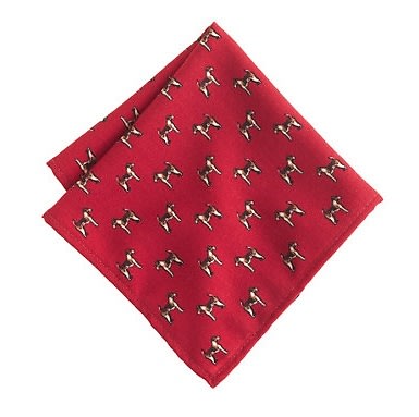 J.Crew Pocket Square