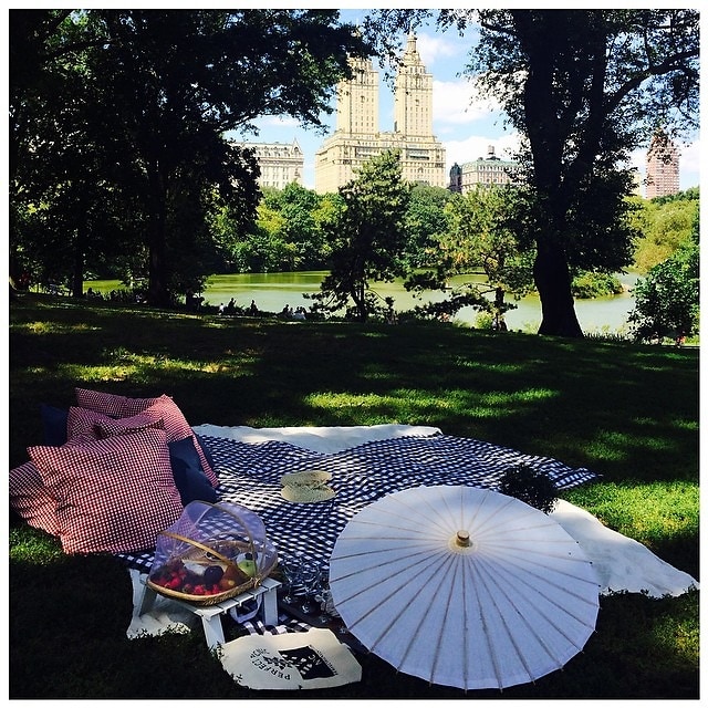 Perfect Picnic