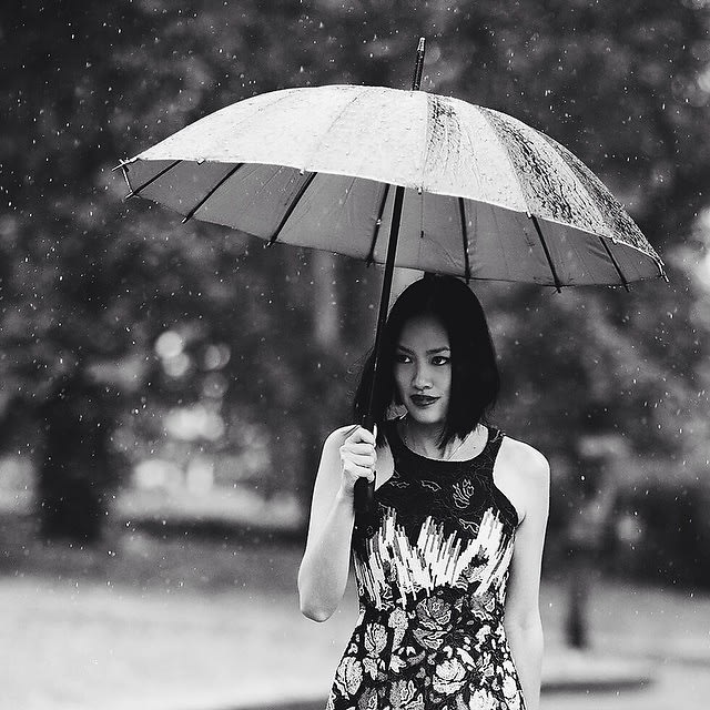 Vogue umbrella