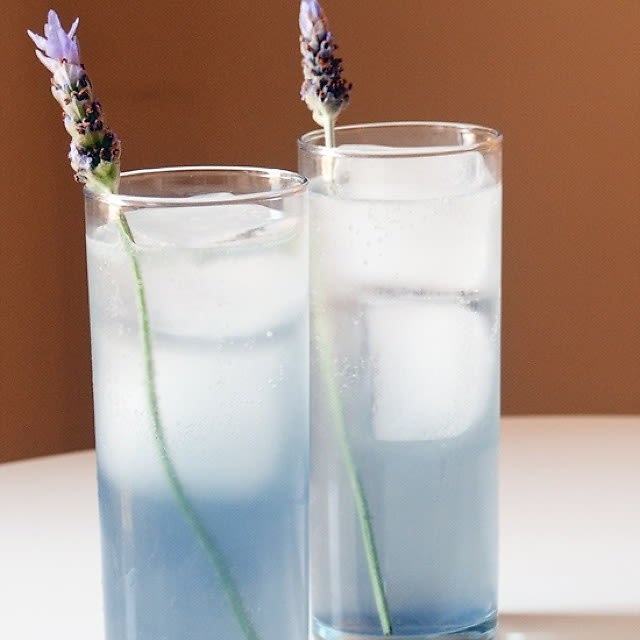 Lavender Collins