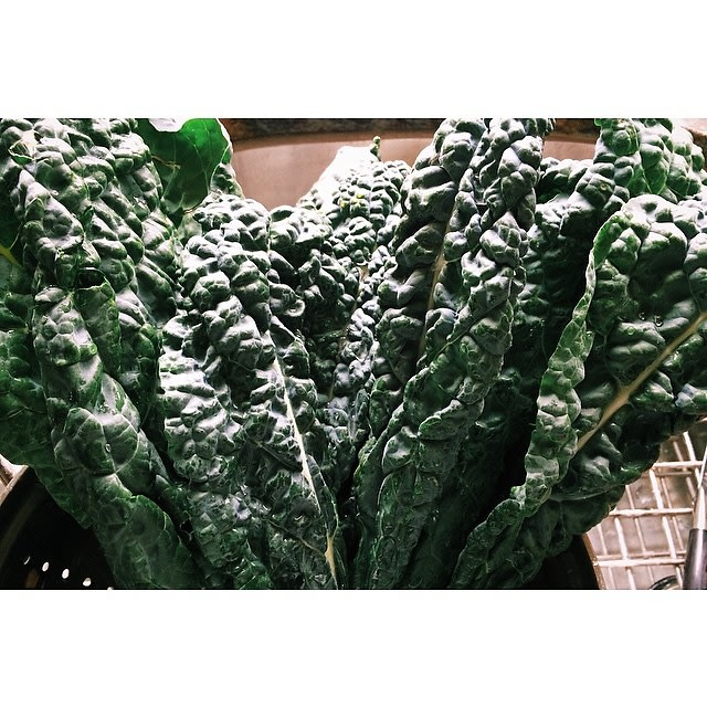 kale