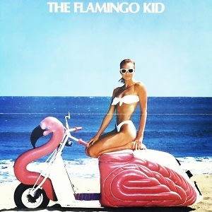 The Flamingo Kid