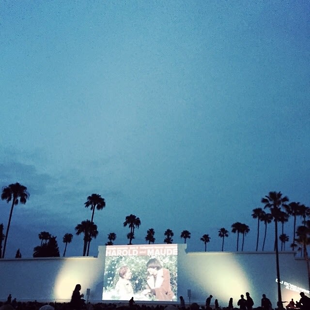 Outdoor Film Screening