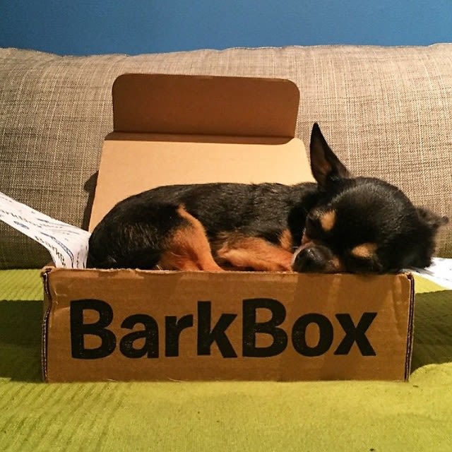 Barkbox