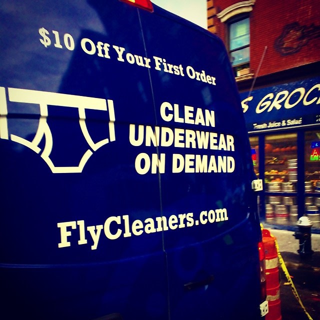 flycleaners