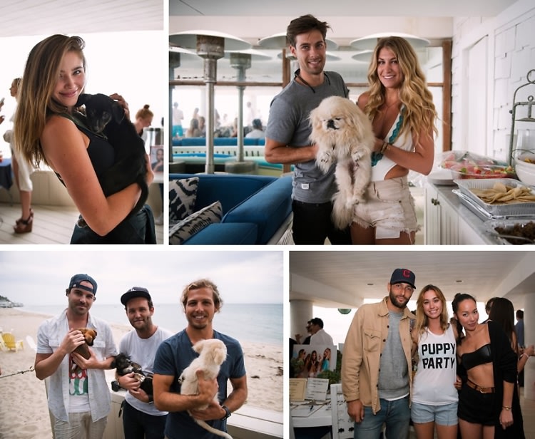Puppies & Parties Presents A Malibu Beach Puppy Party