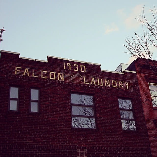 Falcon Laundry