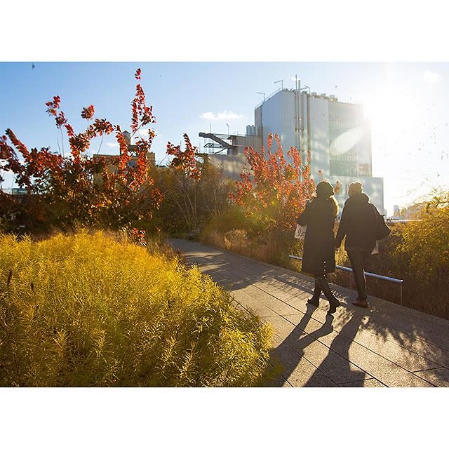 The High Line