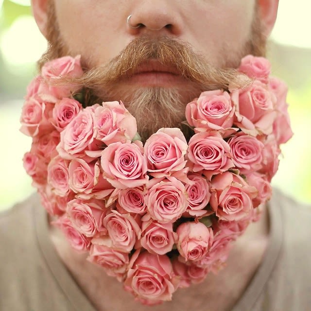 TheGayBeards