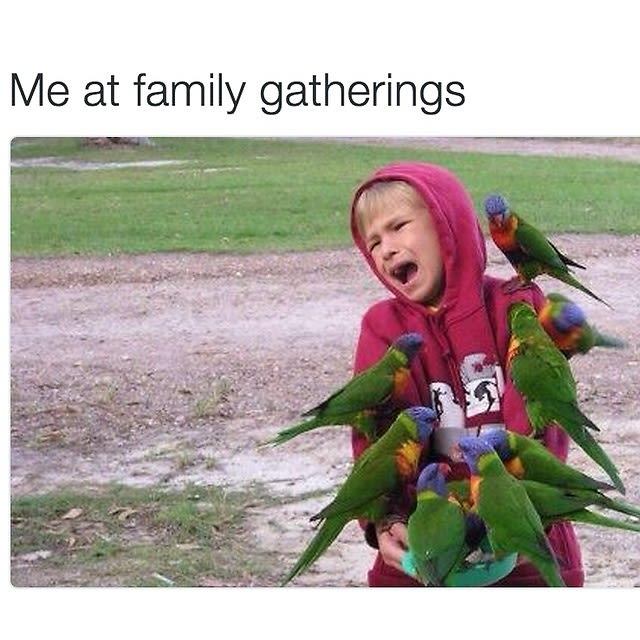 Family Gatherings