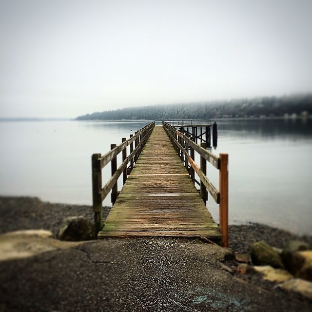 Bainbridge Open Trails