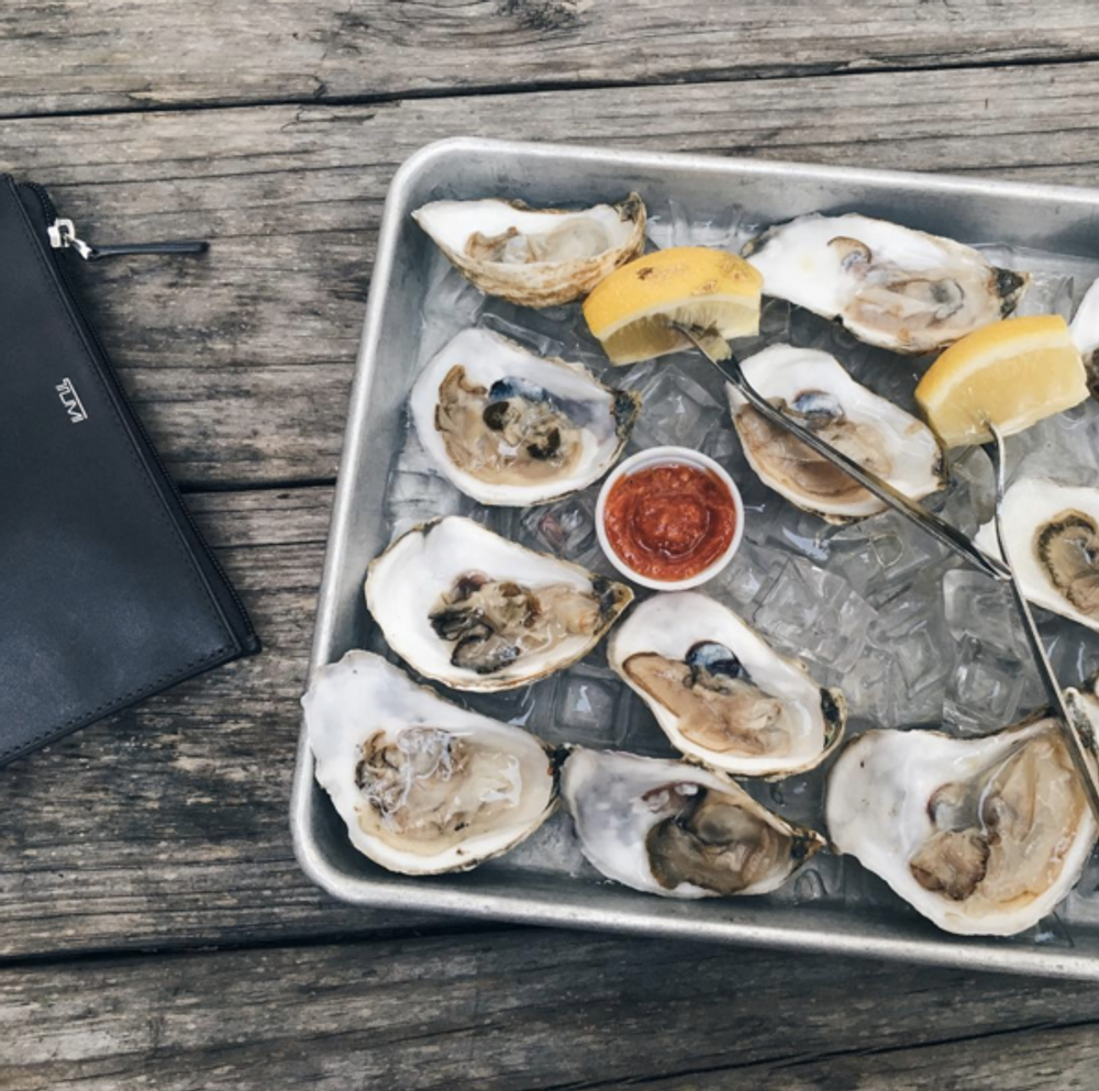 Oysters 101 Everything You Need To Know About The Summer Specialty