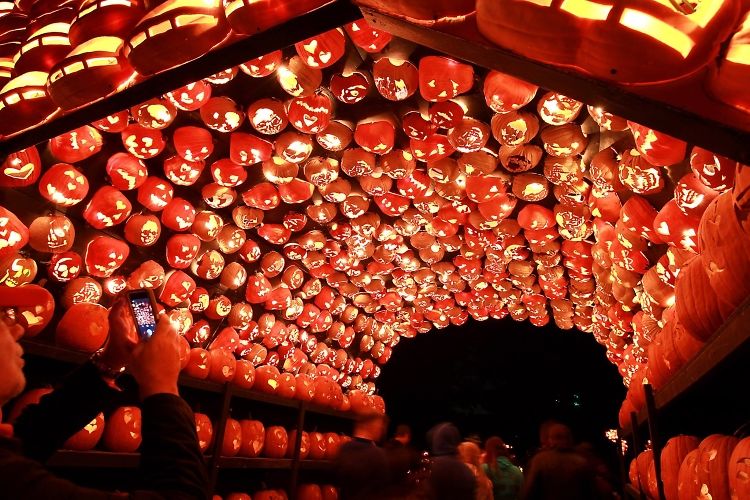 6 Unbelievable Pumpkin Festivals Across America