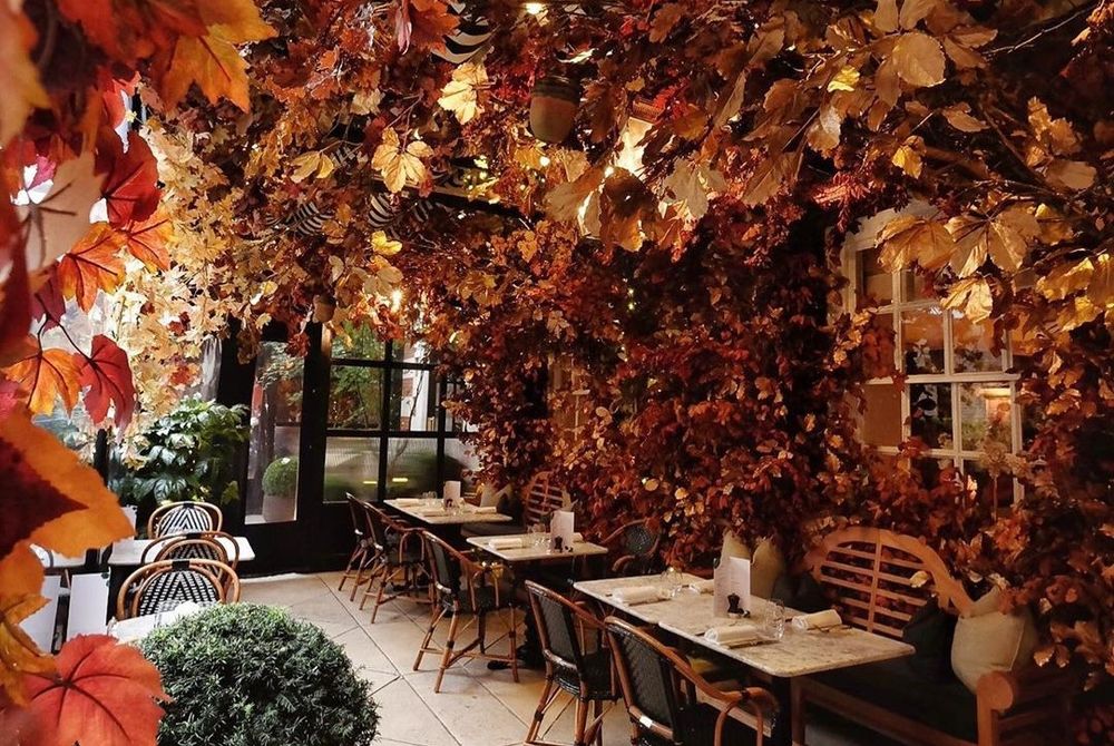 This London Restaurant Is An Instagrammable Autumn Dream