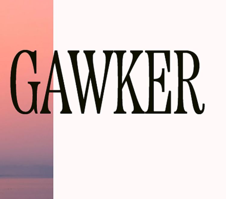 new gawker site