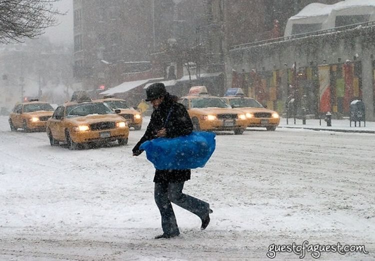 It's Snowing Snowing Snowing!