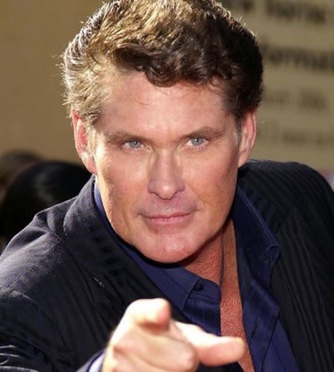 Next photo of David Hasselhoff