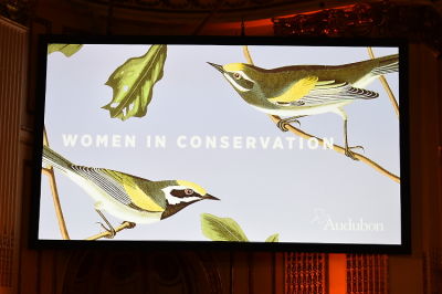 2019 Audubon Women in Conservation Luncheon