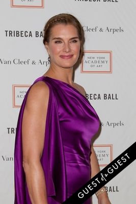brooke shields in NY Academy of Art's Tribeca Ball to Honor Peter Brant 2015