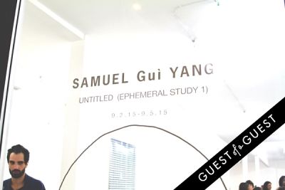 Samuel Gui Yang's Untitled (Ephemeral Study 1) at Lurie Gallery