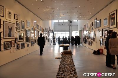 Humane Society of New York’s Third Benefit Photography Auction