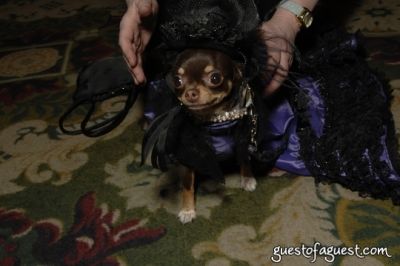 coco chanelentering in SKYBARK Pre Westminster Red Carpet