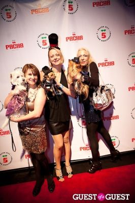 grace forster in Beth Ostrosky Stern and Pacha NYC's 5th Anniversary Celebration To Support North Shore Animal League America