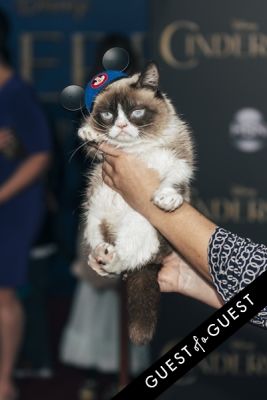 grumpy cat in Premiere of Disney's 