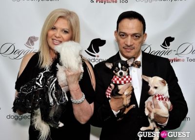 ilene zeins in Doggie-Do and Playtime Too Canine Couture Fashion Show