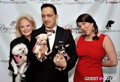 dana humphrey in Doggie-Do and Playtime Too Canine Couture Fashion Show