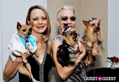 grace forster in Doggie-Do and Playtime Too Canine Couture Fashion Show