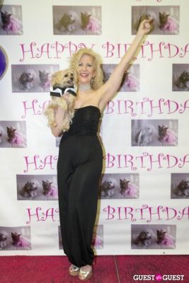 puccini the-amazing-yorkiepoo in Pebble Iscious and Z Zee's Disco Birthday Bash
