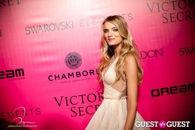 lily donaldson in Victoria's Secret 2011 Fashion Show After Party