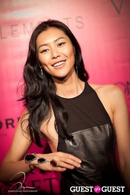 liu wen in Victoria's Secret 2011 Fashion Show After Party
