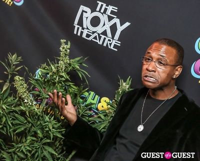 tommy davidson in Green Carpet Premiere of Cheech & Chong's Animated Movie