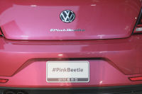 The Pink Agenda Gala sponsored in part by Volkswagen's #PinkBeetle #291