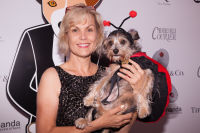 Bow Wow Beverly Hills Presents… ‘A Night in Muttley Carlo’ with James Bone, the Amanda Foundation Annual Halloween Fundraiser  #2