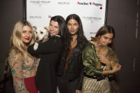 Punches for Puppies: Mowgli Rescue's Fundraiser Event #33
