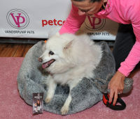 Vanderpump Pets launch event #67