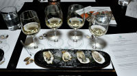 Oysters and Chablis hosted by William Févre Chablis #2