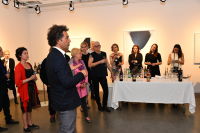 Jean-Claude Mas of Domaines Paul Mas Celebrates Wine & Art at The Curator Gallery NYC, Previews Astelia AAA wine #49
