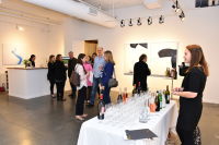 Jean-Claude Mas of Domaines Paul Mas Celebrates Wine & Art at The Curator Gallery NYC, Previews Astelia AAA wine #153