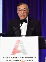 16th Annual Outstanding 50 Asian Americans in Business Awards Dinner Gala - gallery 2 #23