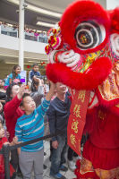Lunar New Year 2018 at The Shops at Montebello #41