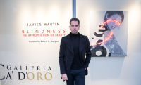Galleria Ca' d'Oro presents Javier Martin: Blindness The Appropriation of Beauty curated by Robert C. Morgan #3