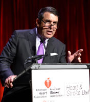 2018 Heart and Stroke Gala: Part 2 #251