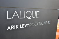 Lalique and Mandarin Oriental Private Dinner to Unveil Arik Levy RockStone 40 Collection #2