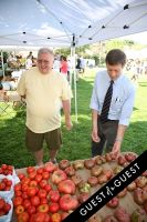 “Shop the Nutrition Rainbow” Tour at Sag Harbor Farmers’ Market #54